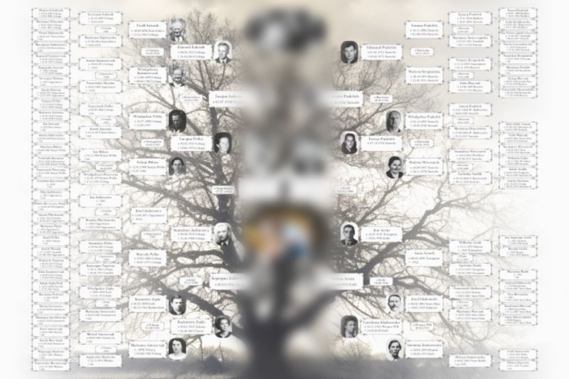 Drzewo genealogiczne ze zdjęciami przodków